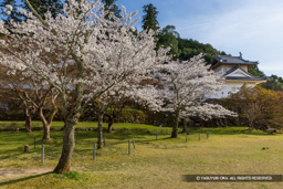 二の丸跡 | 高解像度画像サイズ:7817 x 5214 pixels | 写真番号:6F1A6621 | 撮影:Canon EOS R5m2