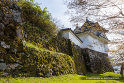 本丸石垣の凹み | 高解像度画像サイズ:7483 x 4991 pixels | 写真番号:6F1A6622 | 撮影:Canon EOS R5m2