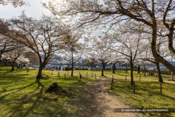 二の丸跡 | 高解像度画像サイズ:7846 x 5234 pixels | 写真番号:6F1A6625 | 撮影:Canon EOS R5m2