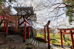 山里丸から見る本丸東隅櫓と二の丸 | 高解像度画像サイズ：8192 x 5464 pixels | 写真番号：6F1A6651 | 撮影：Canon EOS R5m2