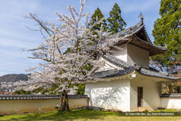 本丸東隅櫓 | 高解像度画像サイズ:7609 x 5075 pixels | 写真番号:6F1A6657 | 撮影:Canon EOS R5m2