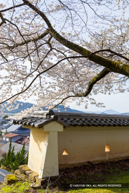 土塀と鉄砲狭間 | 高解像度画像サイズ:5464 x 8192 pixels | 写真番号:6F1A6666 | 撮影:Canon EOS R5m2