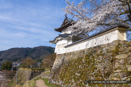 出石城本丸西隅櫓と土塀 | 高解像度画像サイズ：7715 x 5146 pixels | 写真番号：6F1A6670 | 撮影：Canon EOS R5m2
