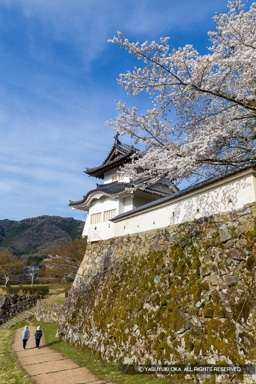 本丸西隅櫓と土塀 | 高解像度画像サイズ:5464 x 8192 pixels | 写真番号:6F1A6675 | 撮影:Canon EOS R5m2