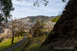 稲荷曲輪石垣と本丸 | 高解像度画像サイズ：8192 x 5464 pixels | 写真番号：6F1A6678 | 撮影：Canon EOS R5m2