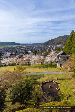 本丸と城下を望む | 高解像度画像サイズ:5285 x 7923 pixels | 写真番号:6F1A6687 | 撮影:Canon EOS R5m2