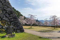 西の曲輪 | 高解像度画像サイズ:8192 x 5464 pixels | 写真番号:6F1A6694 | 撮影:Canon EOS R5m2