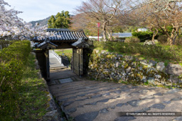 登城門 | 高解像度画像サイズ:7714 x 5145 pixels | 写真番号:6F1A6698 | 撮影:Canon EOS R5m2
