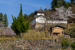西隅櫓跡 | 高解像度画像サイズ:8192 x 5464 pixels | 写真番号:6F1A6702 | 撮影:Canon EOS R5m2