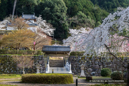 登城門 | 高解像度画像サイズ:7943 x 5298 pixels | 写真番号:6F1A6719 | 撮影:Canon EOS R5m2