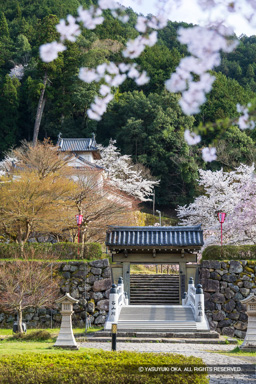 登城門 | 高解像度画像サイズ:5464 x 8192 pixels | 写真番号:6F1A6721 | 撮影:Canon EOS R5m2