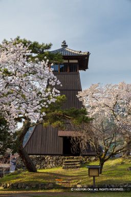 辰鼓楼と桜 | 高解像度画像サイズ:5464 x 8192 pixels | 写真番号:6F1A6796 | 撮影:Canon EOS R5m2