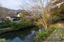 水堀 | 高解像度画像サイズ:8192 x 5464 pixels | 写真番号:6F1A6802 | 撮影:Canon EOS R5m2