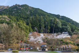 出石城と有子山城 | 高解像度画像サイズ:8192 x 5464 pixels | 写真番号:6F1A6808 | 撮影:Canon EOS R5m2