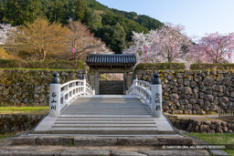 登城橋・登城門 | 高解像度画像サイズ:8192 x 5464 pixels | 写真番号:6F1A6817 | 撮影:Canon EOS R5m2