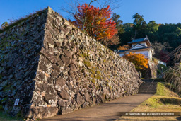 二の丸石垣と本丸西隅櫓・秋・紅葉 | 高解像度画像サイズ：6000 x 4000 pixels | 写真番号：IMG_1112 | 撮影：Canon EOS KISS M