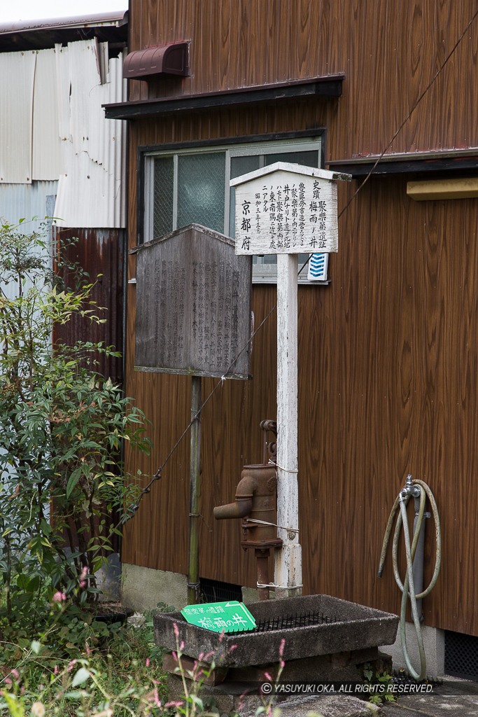 聚楽第・梅雨の井