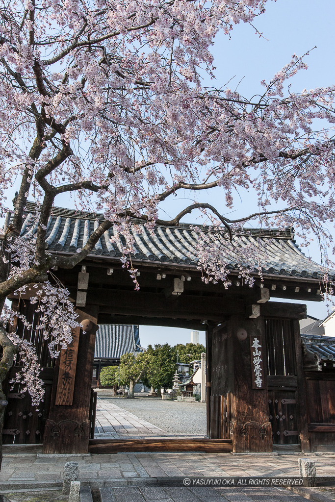 妙覚寺大門・聚楽第裏門