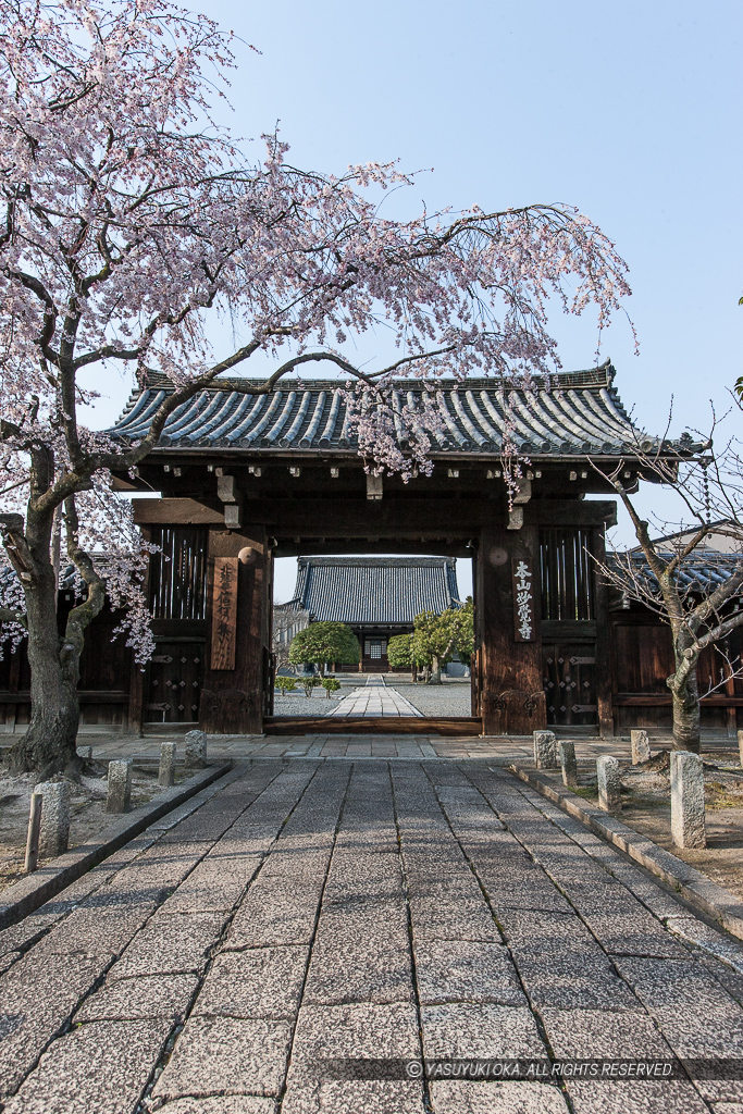 妙覚寺大門・聚楽第裏門