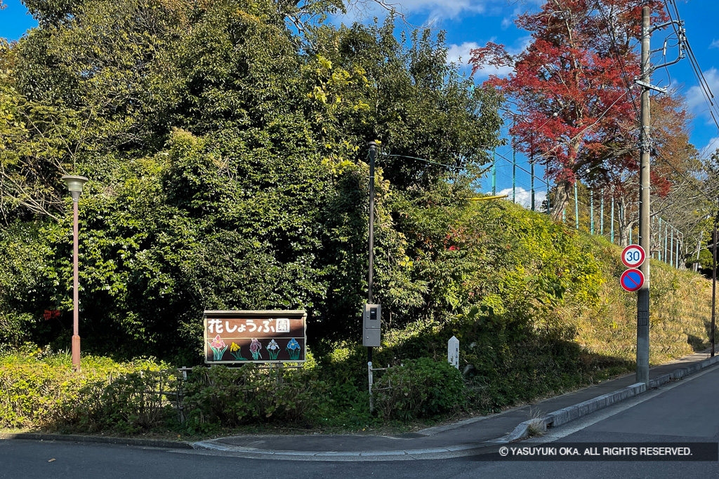 亀山城関見櫓跡