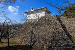 亀山城天守台・多門櫓 | 高解像度画像サイズ：8192 x 5464 pixels | 写真番号：344A6542 | 撮影：Canon EOS R5