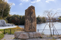  | 高解像度画像サイズ：8192 x 5464 pixels | 写真番号：344A6549 | 撮影：Canon EOS R5