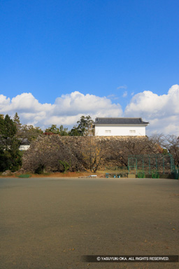 天守台・多門櫓 | 高解像度画像サイズ：5464 x 8192 pixels | 写真番号：344A6581 | 撮影：Canon EOS R5