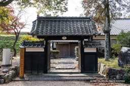 大久保神官家棟門 | 高解像度画像サイズ：8192 x 5464 pixels | 写真番号：344A6601 | 撮影：Canon EOS R5