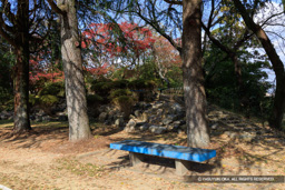 三重櫓跡 | 高解像度画像サイズ：8192 x 5464 pixels | 写真番号：344A6605 | 撮影：Canon EOS R5