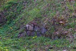 埋門跡付近の石積・二之丸帯曲輪 | 高解像度画像サイズ：8192 x 5464 pixels | 写真番号：344A6619 | 撮影：Canon EOS R5