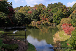 外堀跡 | 高解像度画像サイズ：8192 x 5464 pixels | 写真番号：344A6638 | 撮影：Canon EOS R5