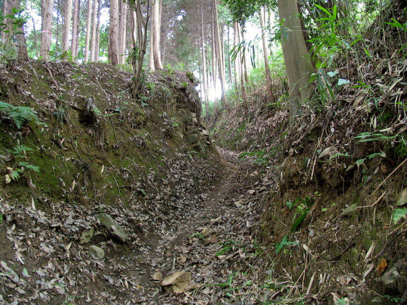 上赤坂城