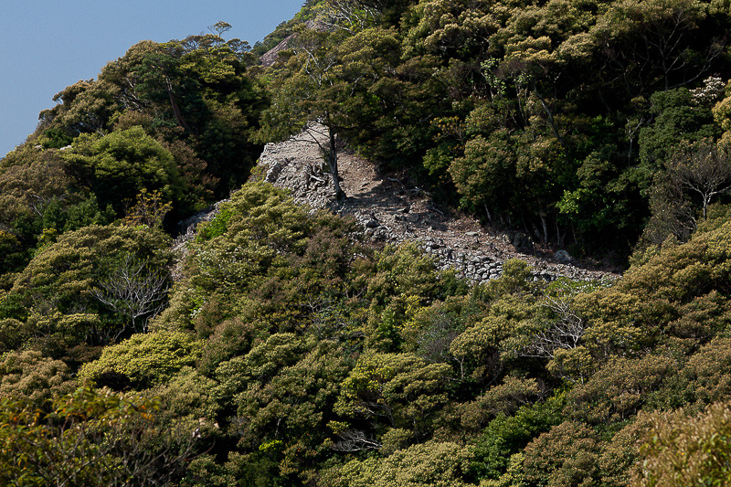 金田城石塁