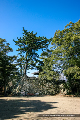 神戸城天守台 | 高解像度画像サイズ：3744 x 5616 pixels | 写真番号：1P3J6034 | 撮影：Canon EOS-1Ds Mark III