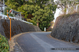 堀切跡 | 高解像度画像サイズ:7325 x 4886 pixels | 写真番号:6F1A1360 | 撮影:Canon EOS R5m2