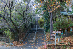 最高所の曲輪へ至る道 | 高解像度画像サイズ：8192 x 5464 pixels | 写真番号：6F1A1369 | 撮影：Canon EOS R5m2