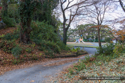北にある展望広場・堀切跡か | 高解像度画像サイズ：8192 x 5464 pixels | 写真番号：6F1A1370 | 撮影：Canon EOS R5m2