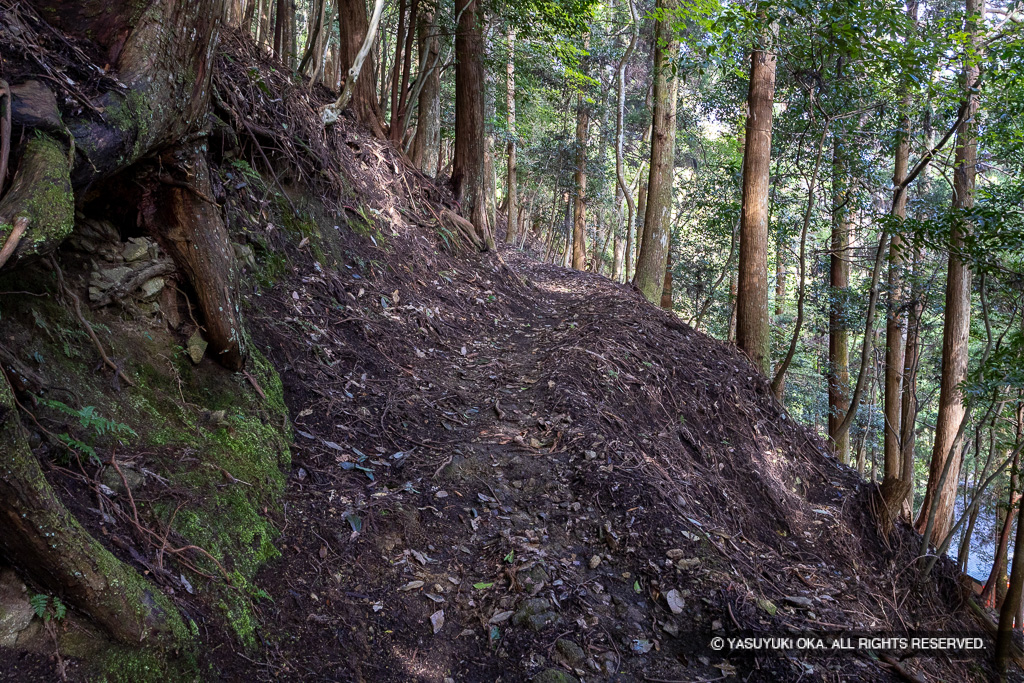詰城登山道