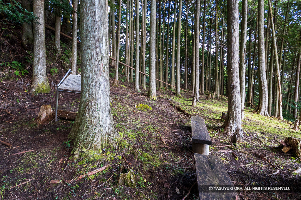 北畠氏館詰城跡曲輪A