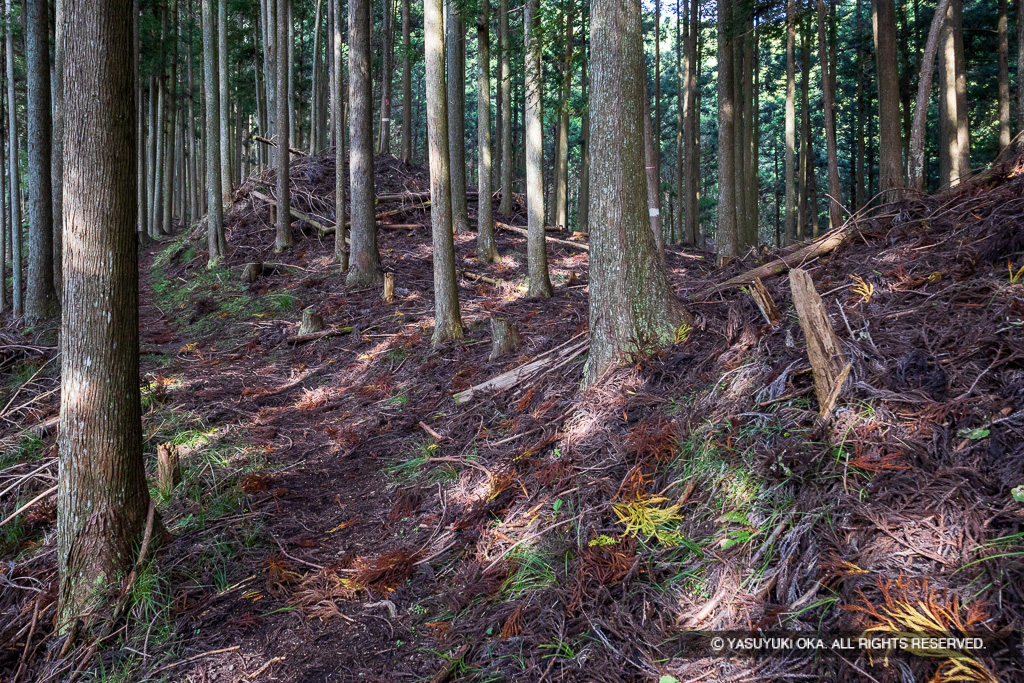 北畠氏館詰城跡・曲輪Bと土塁
