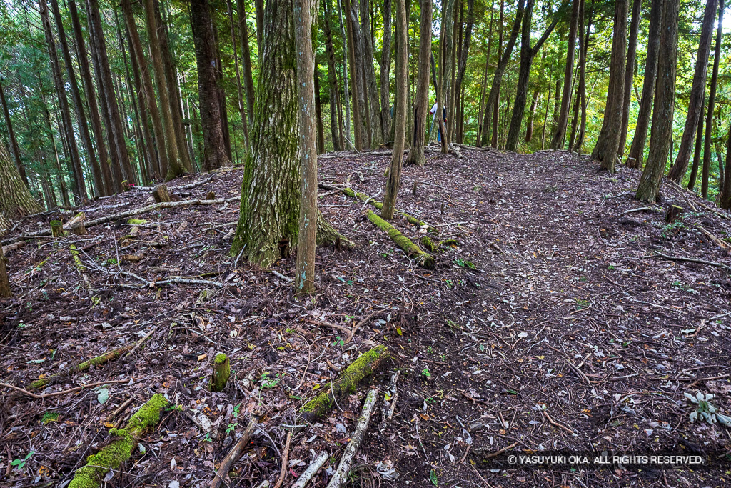 霧山城鐘突堂跡（南曲輪）