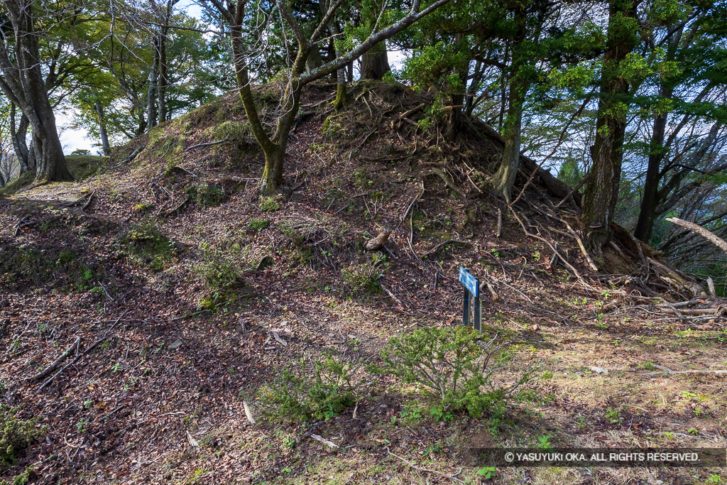 霧山城本丸跡