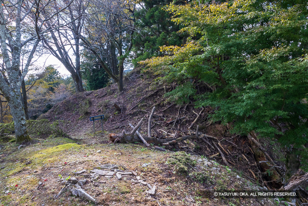 霧山城本丸跡と堀切