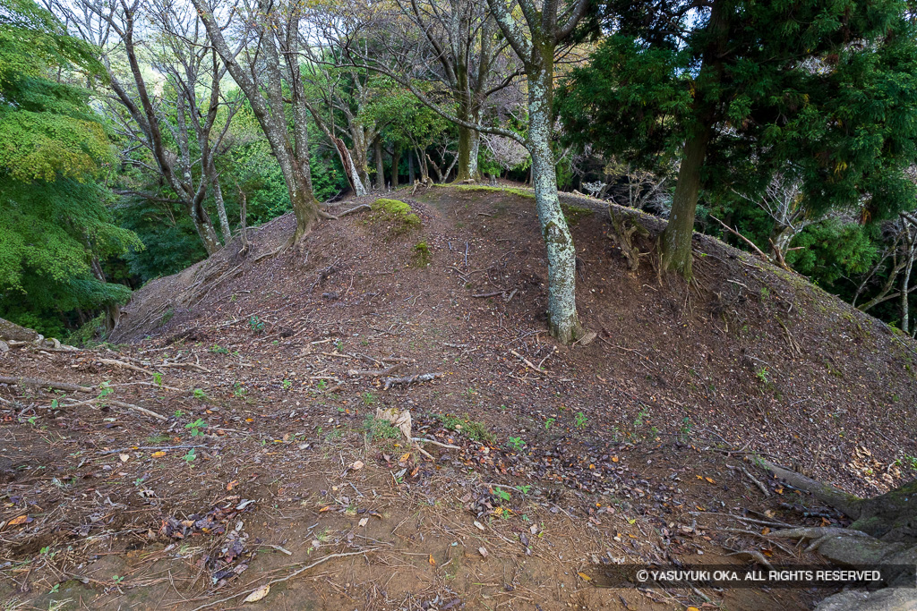 霧山城矢倉跡の堀切