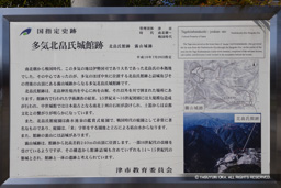 | 高解像度画像サイズ:6000 x 4000 pixels | 写真番号:IMG_0882 | 撮影:Canon EOS R10