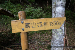 | 高解像度画像サイズ:6000 x 4000 pixels | 写真番号:IMG_0889 | 撮影:Canon EOS R10