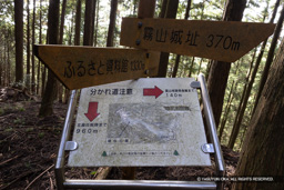 | 高解像度画像サイズ:6000 x 4000 pixels | 写真番号:IMG_0910 | 撮影:Canon EOS R10