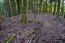 霧山城鐘突堂跡（南曲輪） | 高解像度画像サイズ：6000 x 4000 pixels | 写真番号：IMG_0912 | 撮影：Canon EOS R10