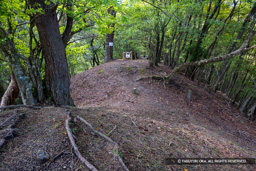 霧山城鐘突堂跡（南曲輪）の堀切 | 高解像度画像サイズ：6000 x 4000 pixels | 写真番号：IMG_0920 | 撮影：Canon EOS R10
