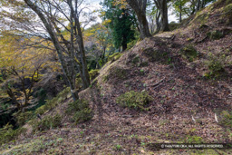 霧山城本丸跡 | 高解像度画像サイズ:6000 x 4000 pixels | 写真番号:IMG_0933 | 撮影:Canon EOS R10